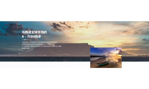K·FISH，跨进中国电商行业