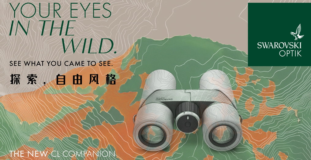 探索，自由风格 新一代CL Companion中国焕新上市